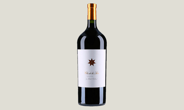 206 Clos de los Siete 2019, Argentina