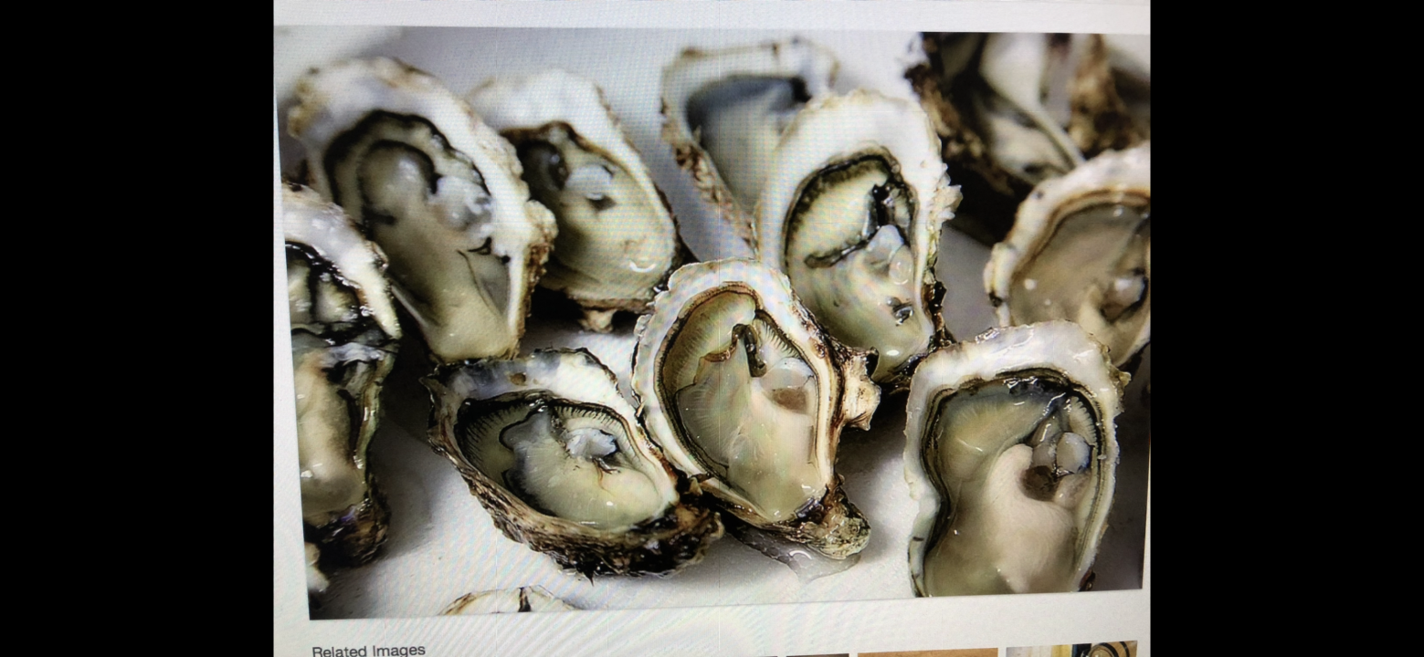 6 Blue Point Oysters