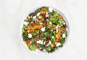 Plant Powered