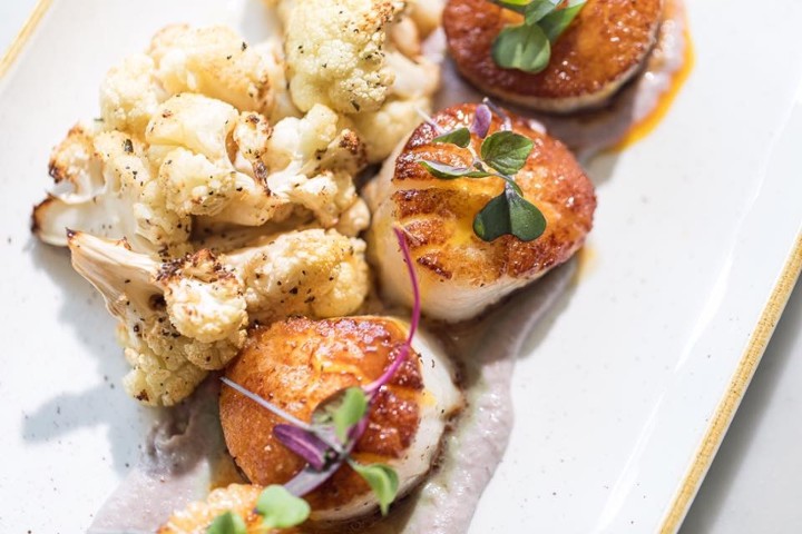 Pan-seared Scallops