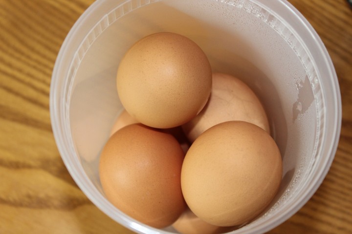 Farm Fresh Eggs (1)