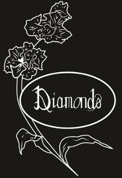 Diamond's 69 RT 156 Hamilton NJ 08620 logo