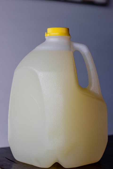 Gallon Lemonade