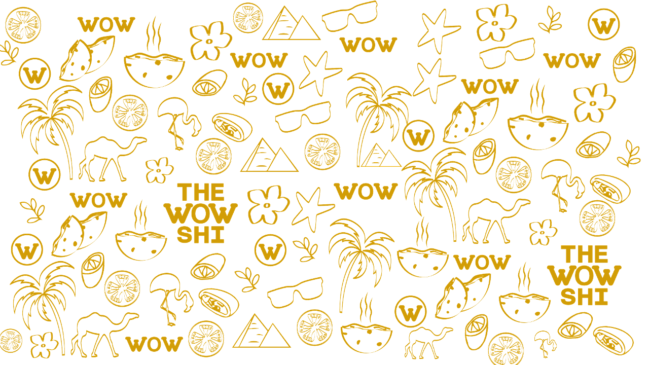 The Wowshi- Egyptian Street Food 1657 N Miami Ave #E