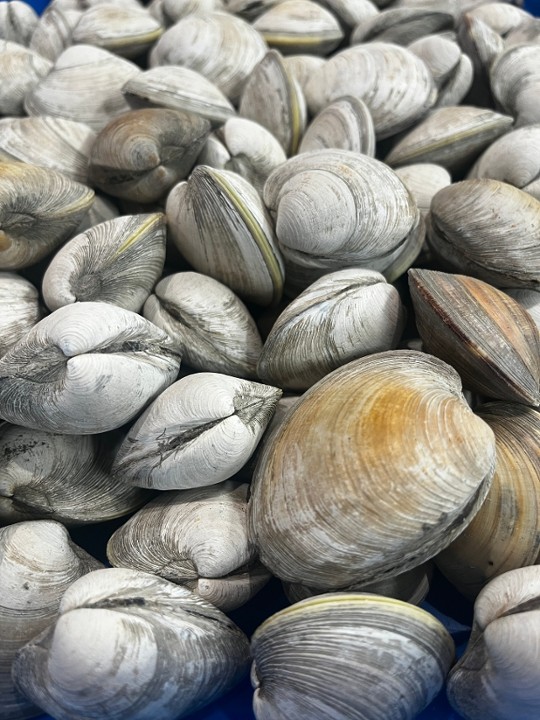 Cape May Littleneck Clams