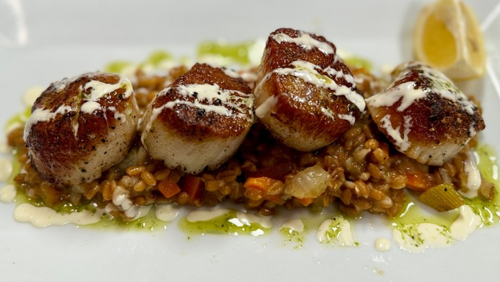 Seared Scallops