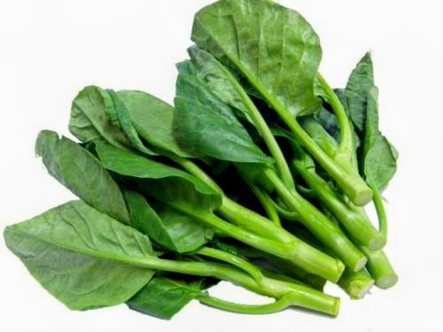 Steamed Chinese Broccoli