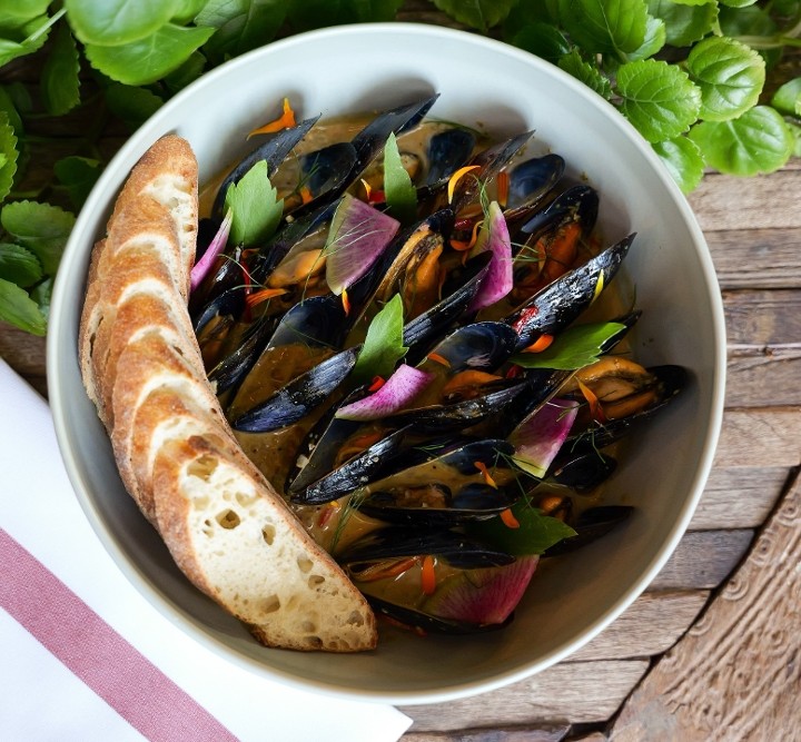 Maine Mussels