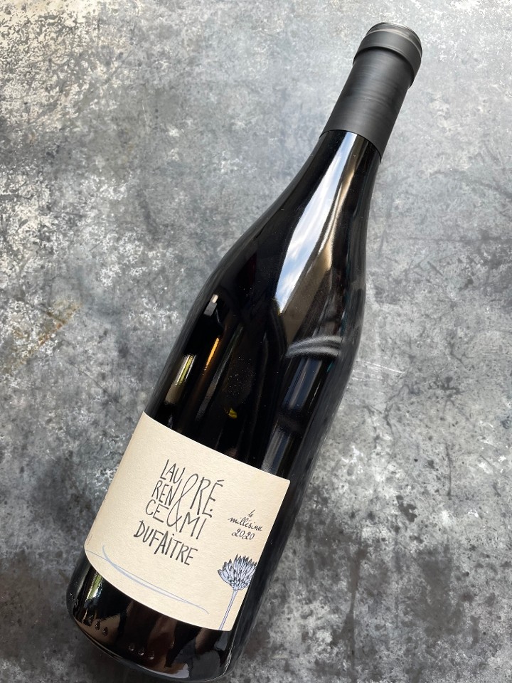 '21 Laurence & Remi Dufraite Gamay | Cote de Brouilly* | France