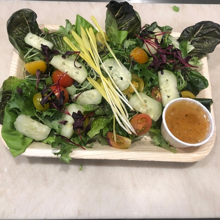 Hydroponic Salad