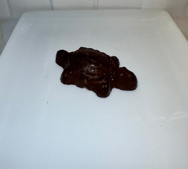 Chocolate Turtle