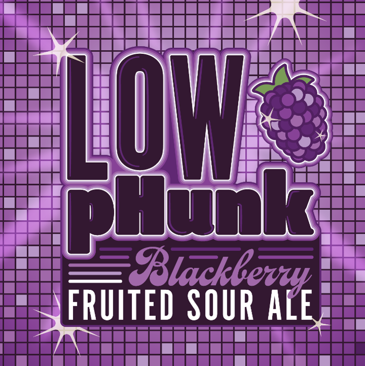 Low pHunk |  Blackberry 16 oz. Beer Buddy