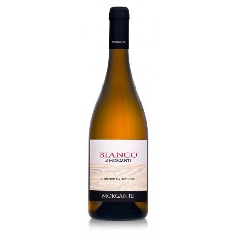 Bianco di Morgante Nero D’Avola in Sicilia