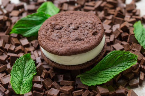 Ruby Jewel Ice Cream Sandwich - Fresh Mint & Dark Chocolate Cookies