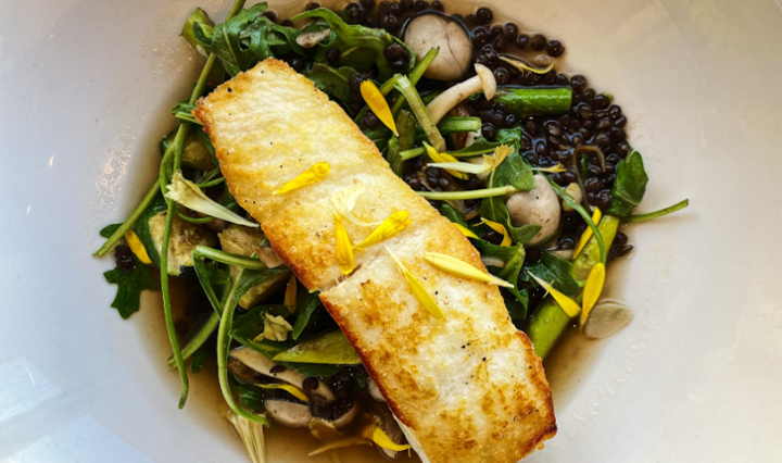 ALASKAN HALIBUT