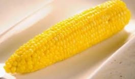 Steamed Corn on the Cob (1)!