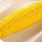 Corn on the cob TOGO