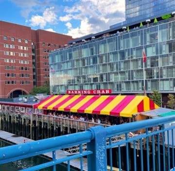 The Barking Crab