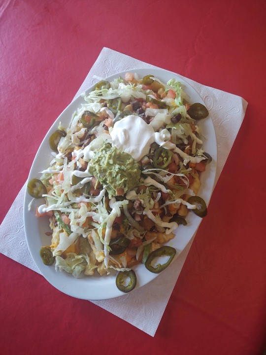 Carne Asada Fries