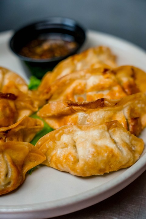 Fried Chicken Dumplings (8)