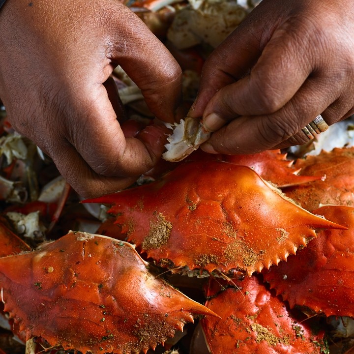 NC Blue Crabs Steamed #1 Large (1 dz)