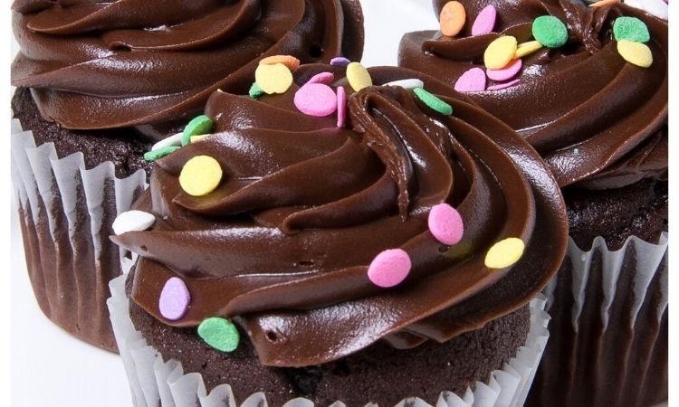 Chocolate Cupcake with Fudge Frosting 4 Pack