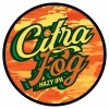 #2 SOUTHERN TIER Citra Fog