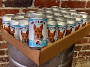 Adoptable Lager Case