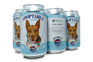 Adoptable Lager 6pk 12 oz Cans