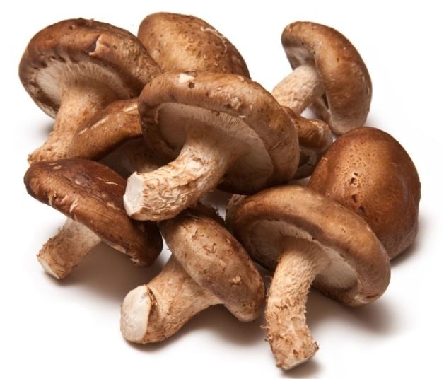 Extra Shitake Mushroom