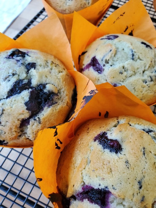 BlueBerry Muffin