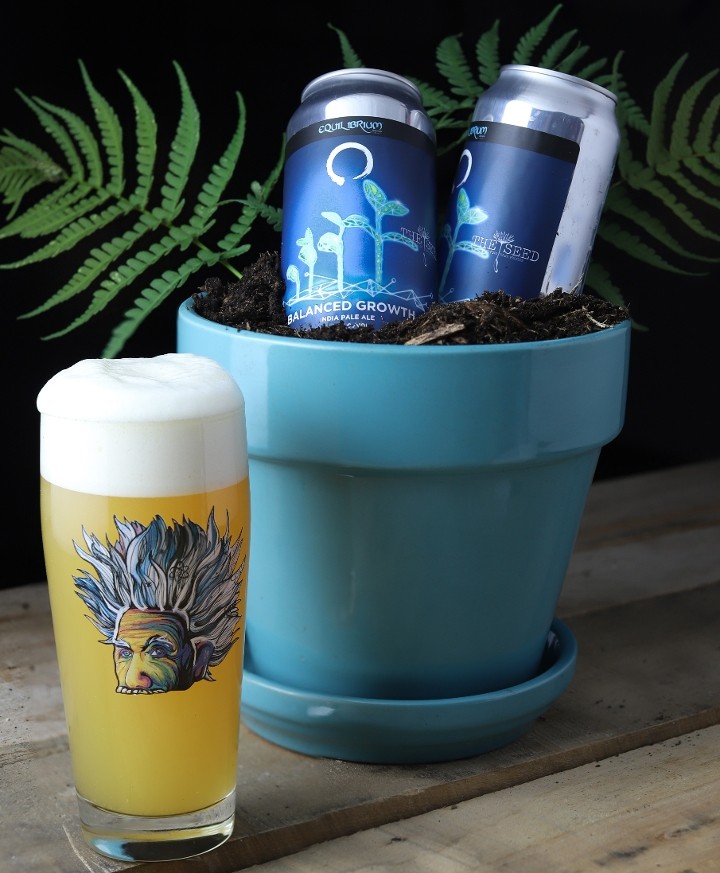 Balanced Growth - 4pk