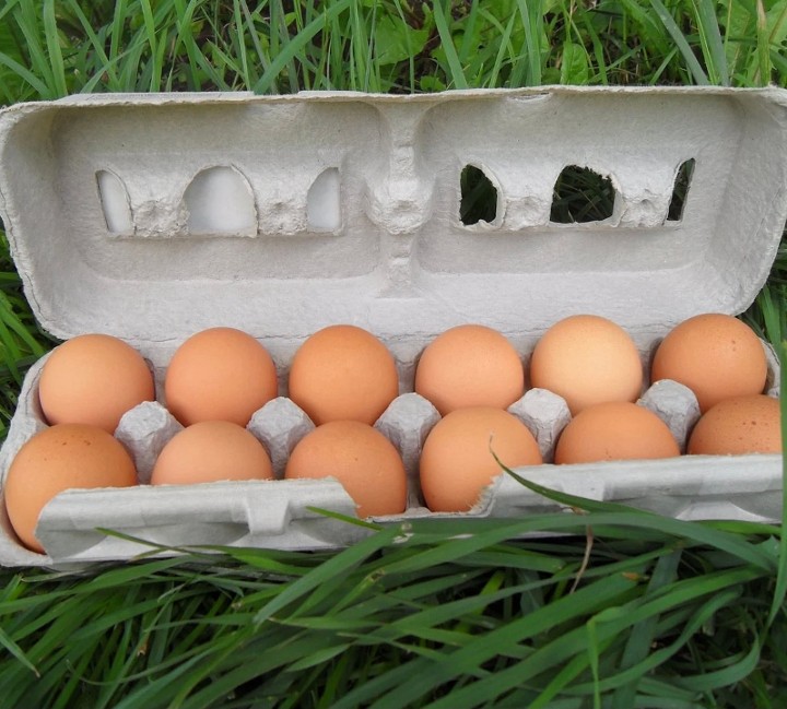 Doz Organic Eggs