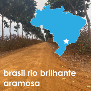Brasil Rio Brilhante Aramosa (Light Roast) - 12 oz. Pouch