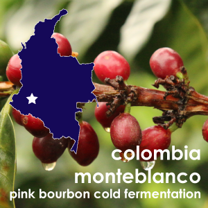 Colombia Monteblanco Pink Bourbon Cold Fermentation (Light Roast) 12 oz. Pouch