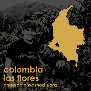 Colombia las Flores Anaerobic Washed Sidra (Light Roast) - 12 oz. Pouch