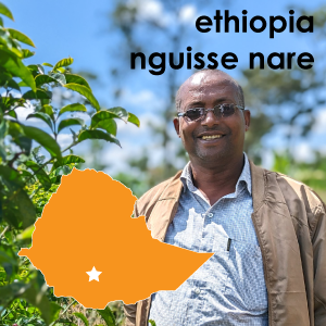 Ethiopia Nguisse Nare (Light Roast) 12 oz. Pouch