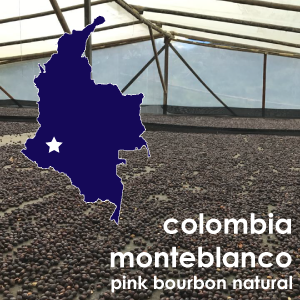 Colombia Monteblanco Pink Bourbon Natural (Light Roast) 12 oz. Pouch