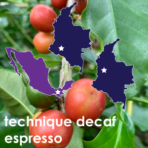 Technique Decaf Espresso-12 oz. Pouch
