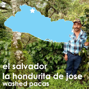 El Salvador la Hondurita de Jose Washed Pacas (Light Roast) 12 oz. Pouch