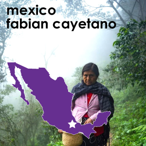 Mexico Fabian Cayetano (Light Roast) - 12 oz. Pouch