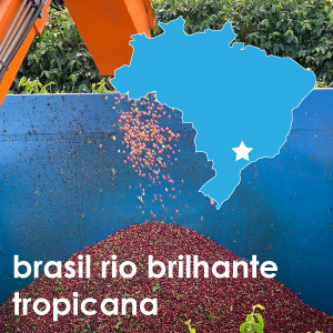 Brasil Rio Brilhante Tropicana (Medium Roast) - 12 oz. Pouch