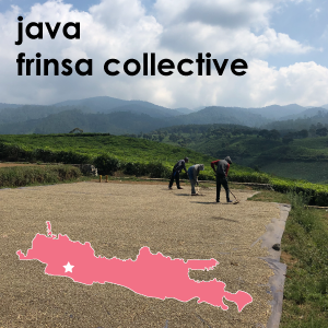 Java Frinsa Collective (Light Roast) 12 oz. Pouch