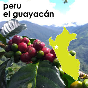 Peru el Guayacan (Dark Roast) - 12 oz. Pouch