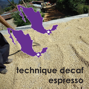 Technique Decaf Espresso- 12 oz. Pouch