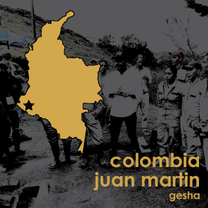 Colombia Juan Martin Gesha (Light Roast) 12 oz. Pouch