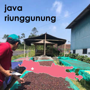 Java Riunggunung-12 oz. Pouch