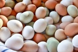 Organic Pasture Raised Eggs doz.