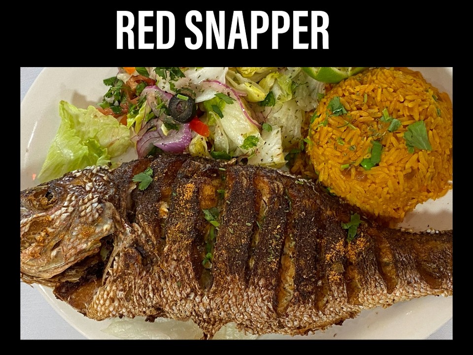Red Snapper 1- 1/2