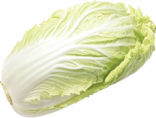 King Napa Cabbage